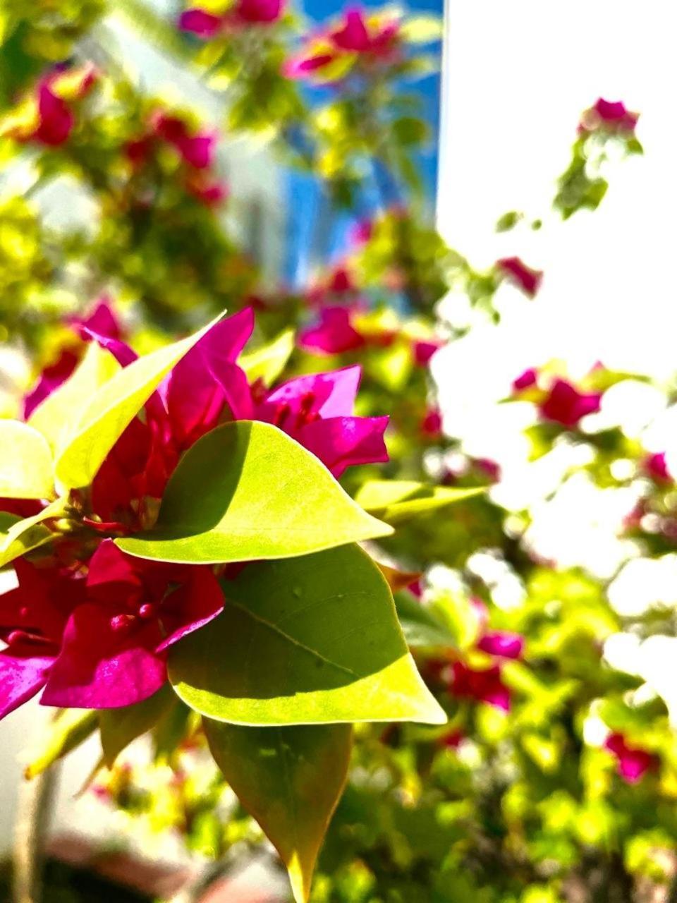 Pho Bien Hotel Nha Trang Dış mekan fotoğraf