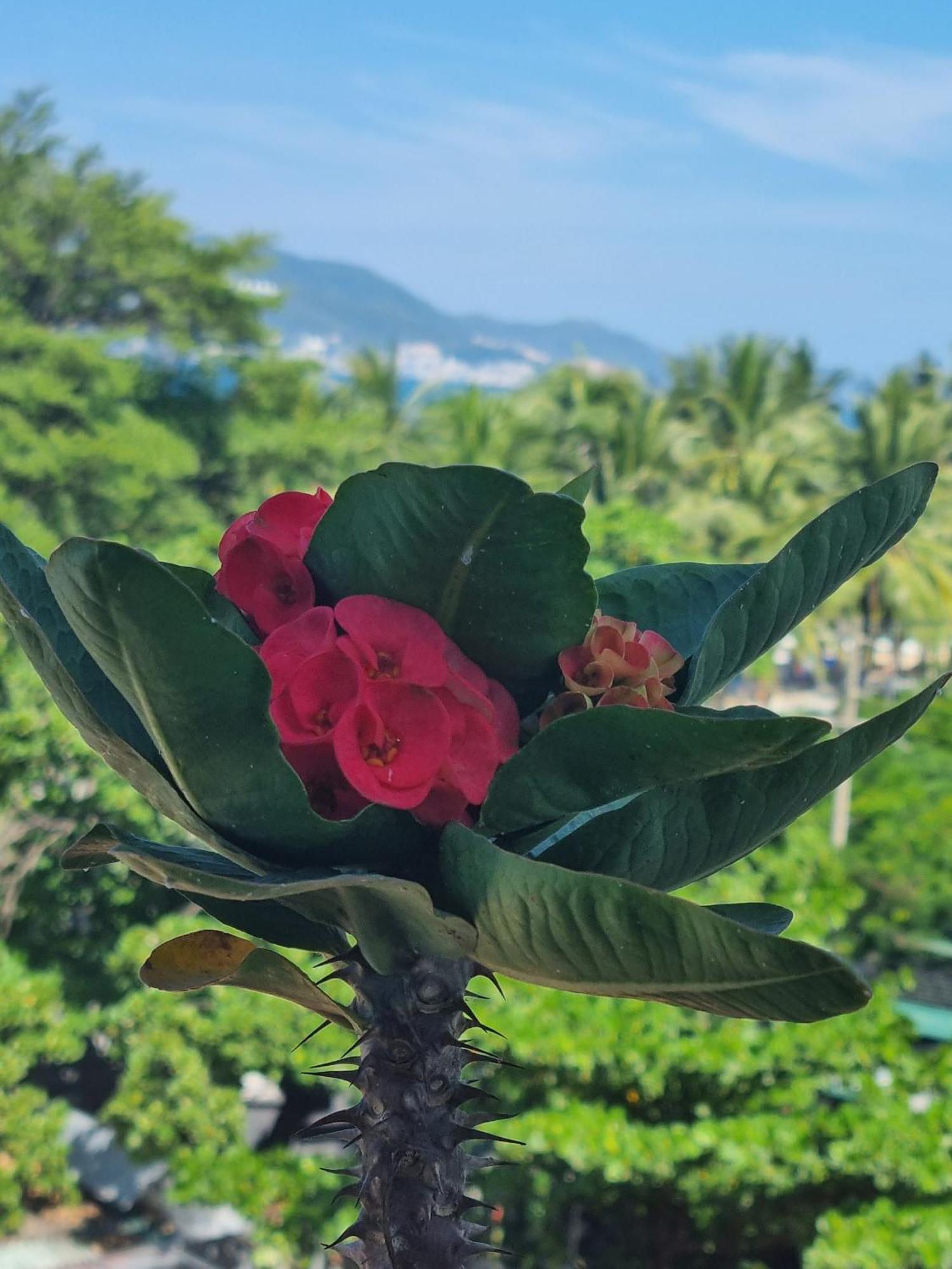 Pho Bien Hotel Nha Trang Dış mekan fotoğraf